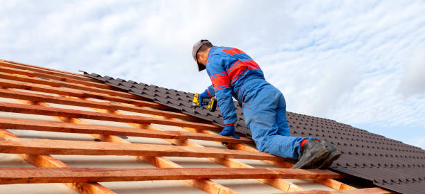 Best Roof Moss and Algae Removal  in Elberton, GA